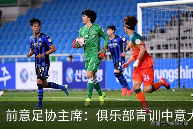 前意足协主席：俱乐部青训中意大利人只有30% 意大利本该进世界杯